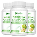 Garcinia Cambogia Health Supplement Appetite Suppression  Colon Cleansing 120 Capsules