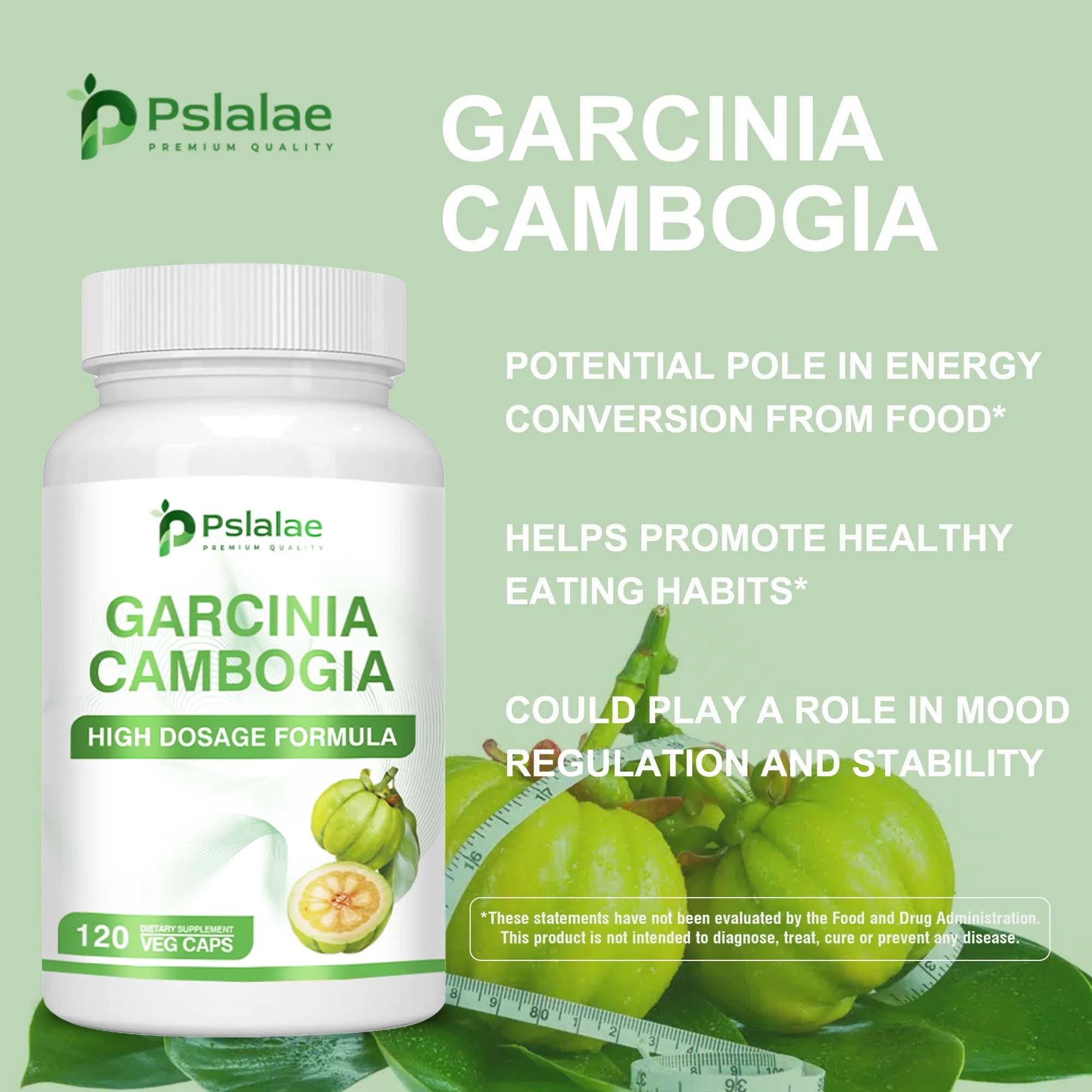 Garcinia Cambogia Health Supplement Appetite Suppression  Colon Cleansing 120 Capsules