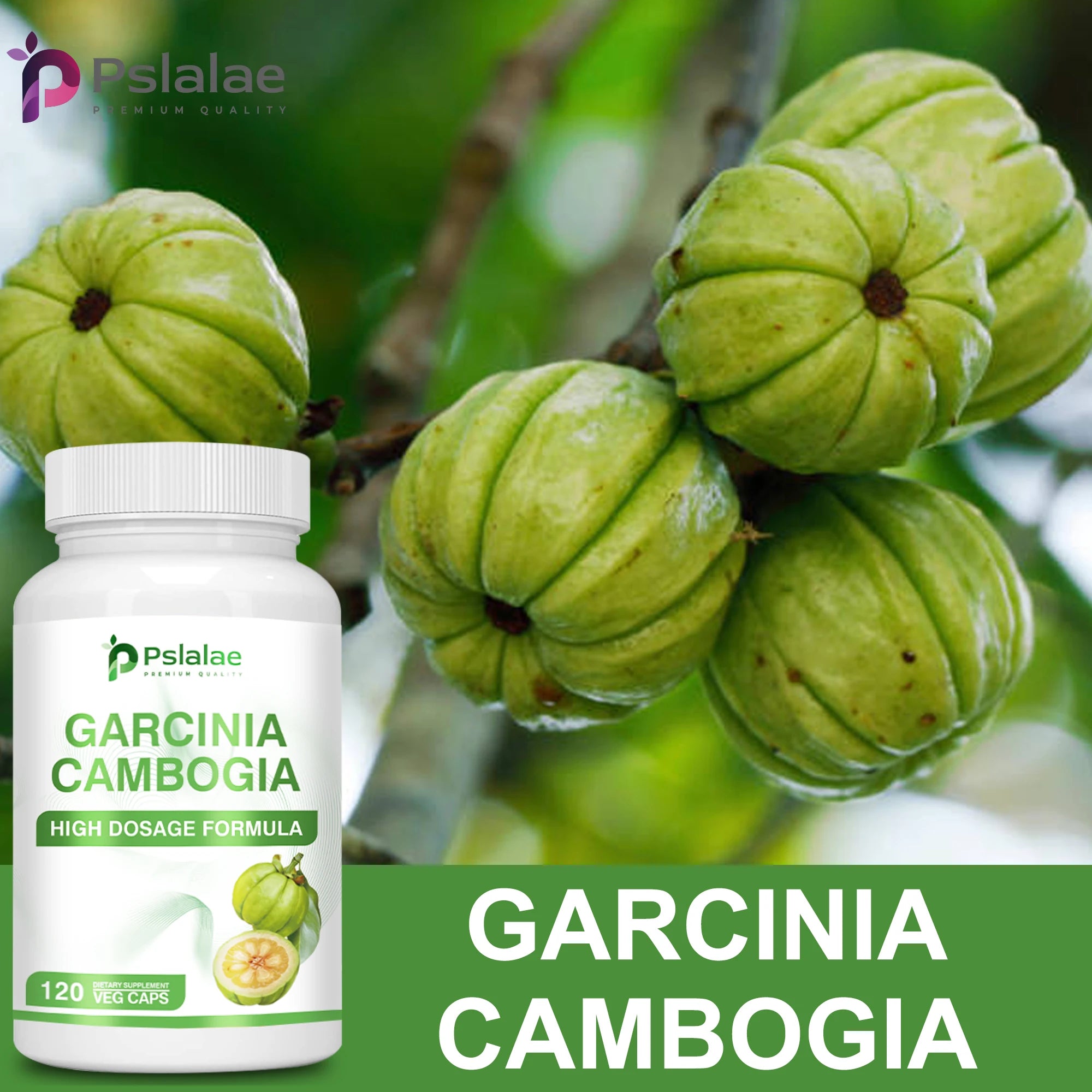 Garcinia Cambogia Health Supplement Appetite Suppression  Colon Cleansing 120 Capsules