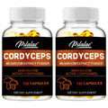 Cordyceps - Mushroom Extract, Provides Energy and Immune Support - 120 Capsules