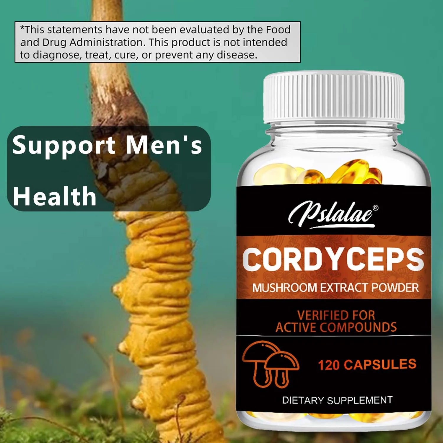 Cordyceps - Mushroom Extract, Provides Energy and Immune Support - 120 Capsules