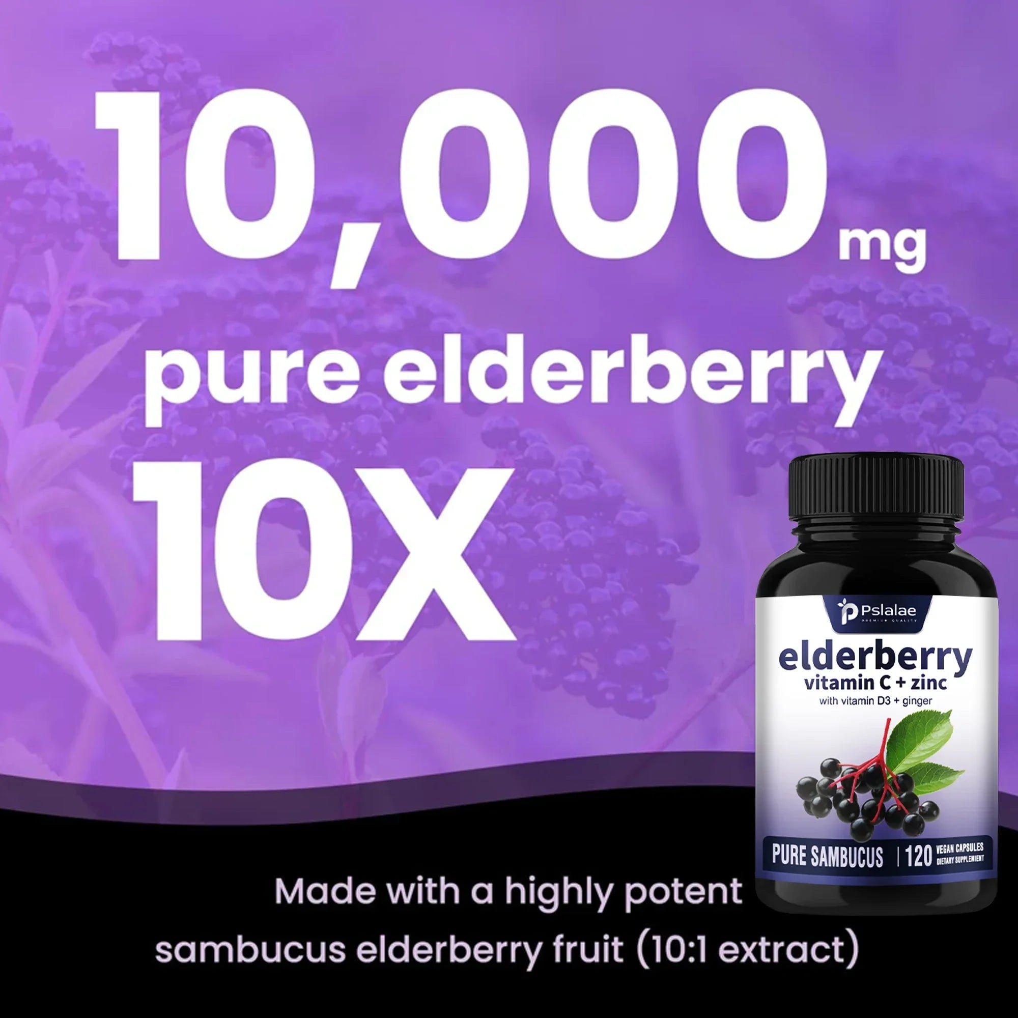 Elderberry, Vitamin C + Zinc - Supports The Immune System, Antioxidant Properties,  - 120 Capsules