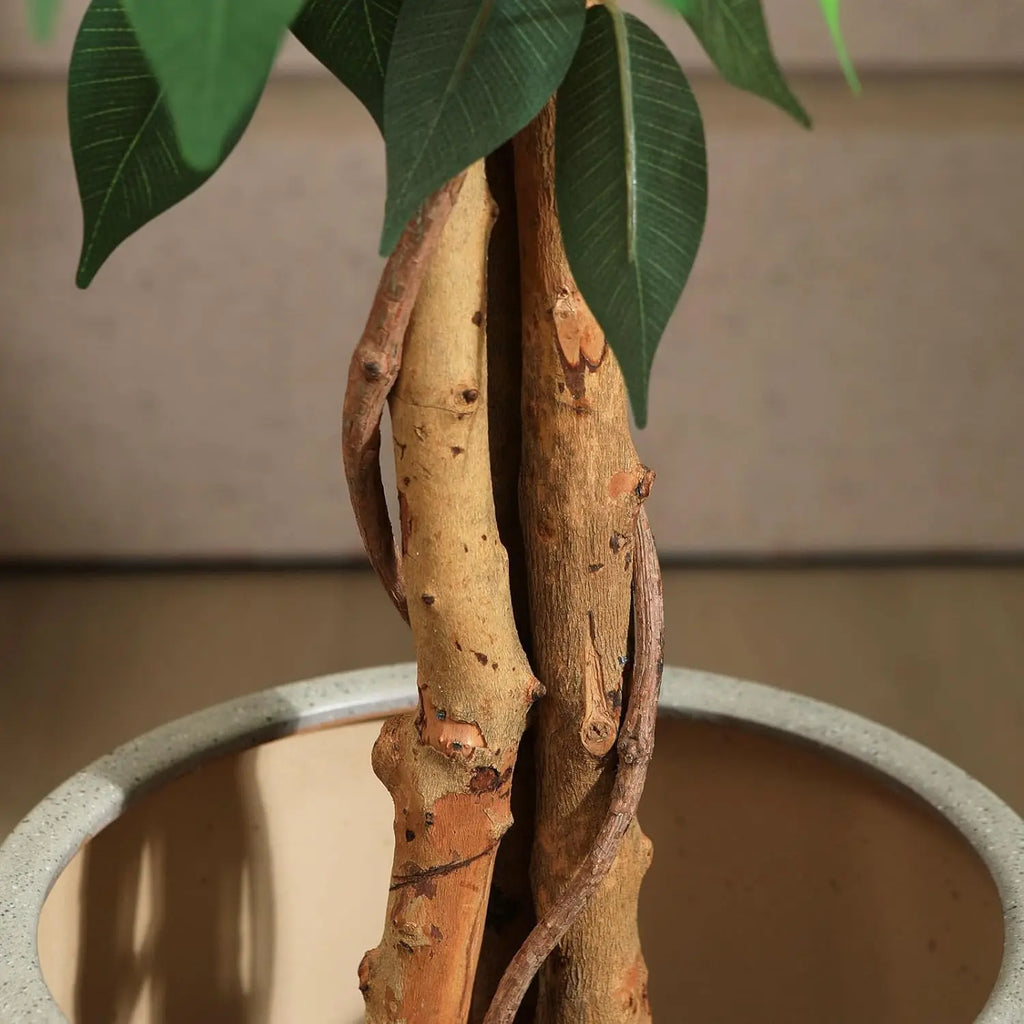 4ft Artificial Ficus Tree with Natural Wood Trunk in Plastic Pot