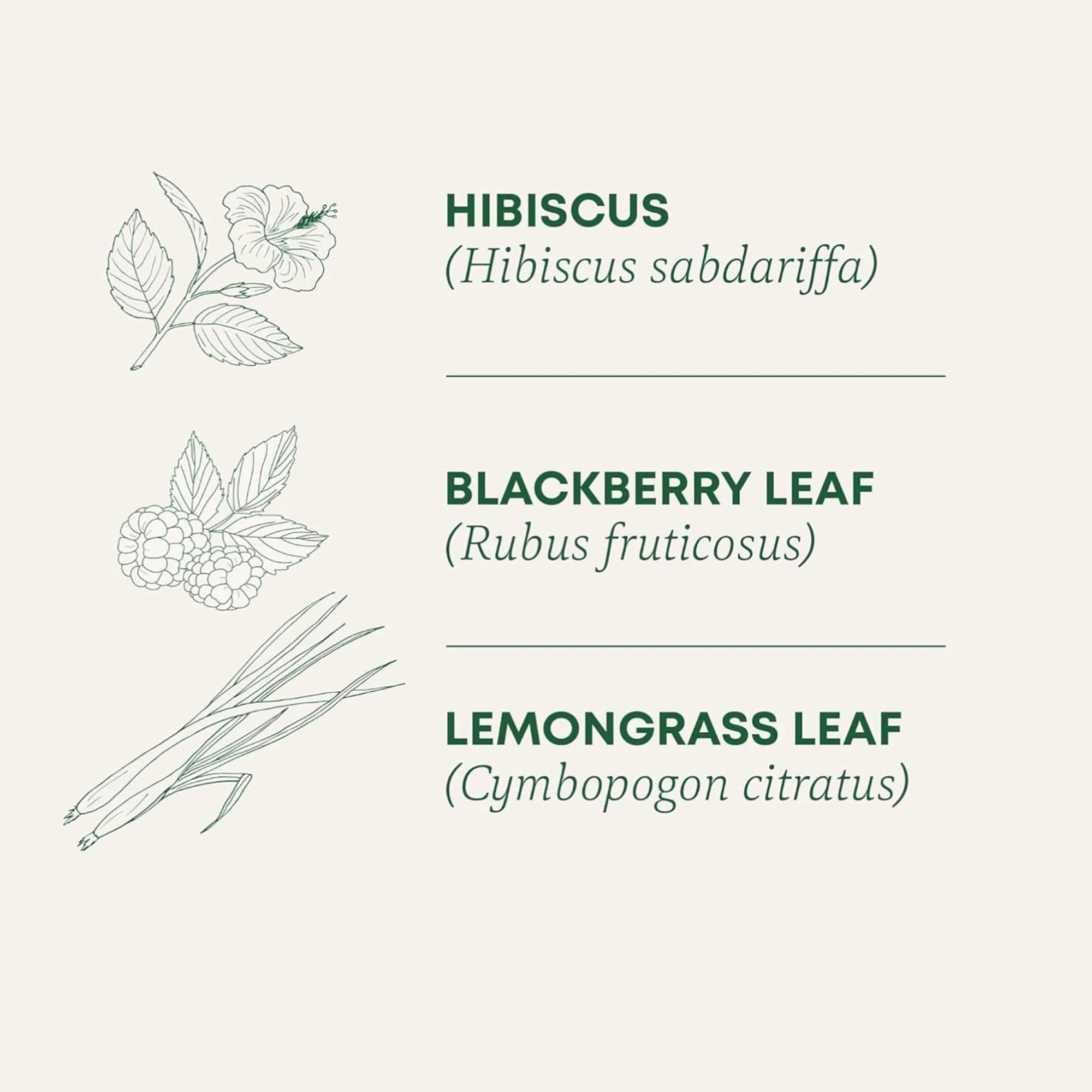 Flower tea bag, decaffeinated herbal tea bag, rich in antioxidants, tea lovers' gift, antioxidant rich mixture