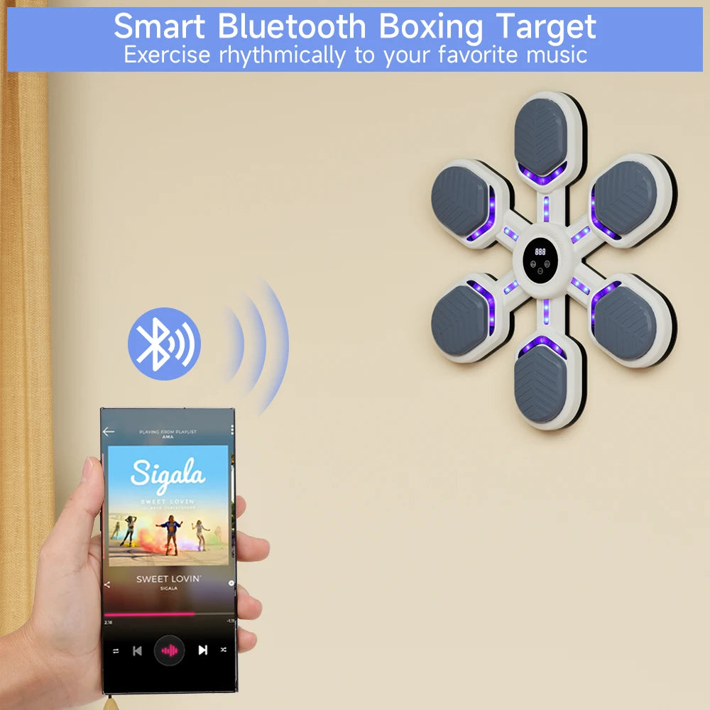 Music Boxing Machine, Boxing Wall Mount Machine for Adults Teens, Smart Bluetooth Punching Trainer with Gloves
