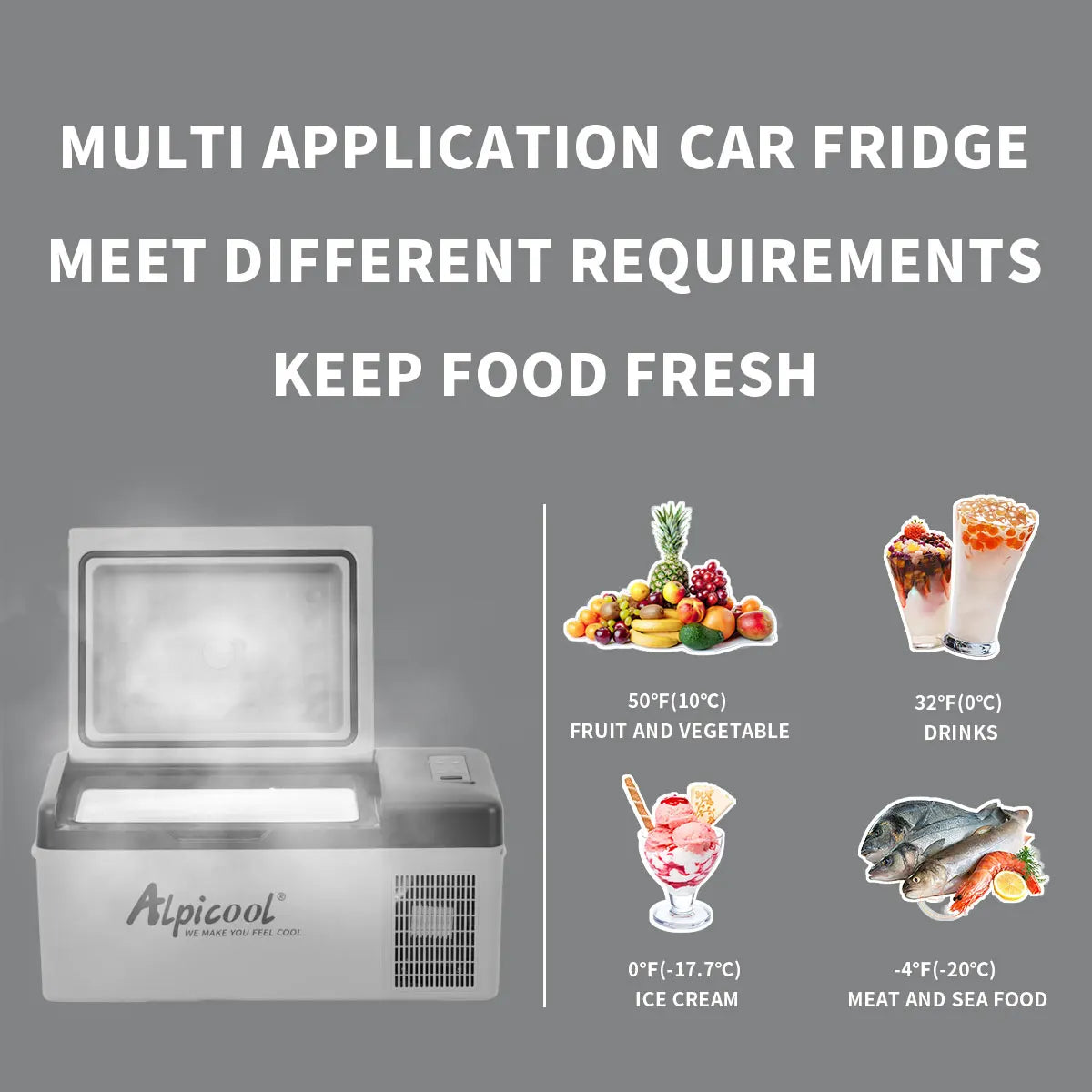 portable compressor fridge freezer 21Quart(20Liter) for car and home - 12V/24V DC and 110V AC
