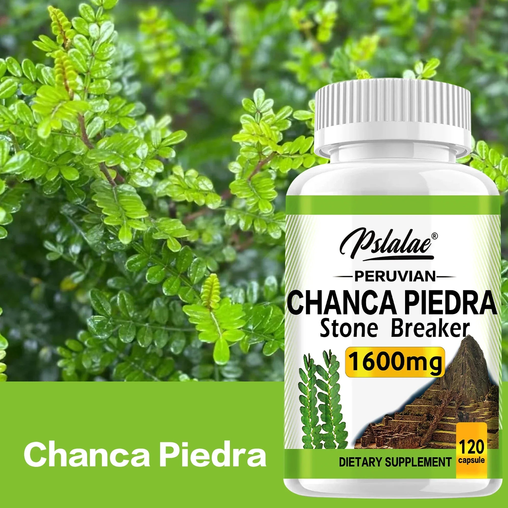600mg - Supports Kidney Function, Promotes Detoxification, Cleansing and Repair, and Boosts Energy - 120 Capsules