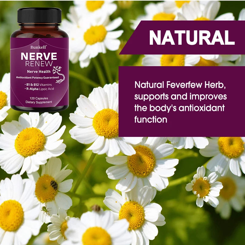 Nerve Support Supplement - 300mg Stabilized R-Alpha Lipoic Acid, Vitamin B Complex, Supports Nervous System Health