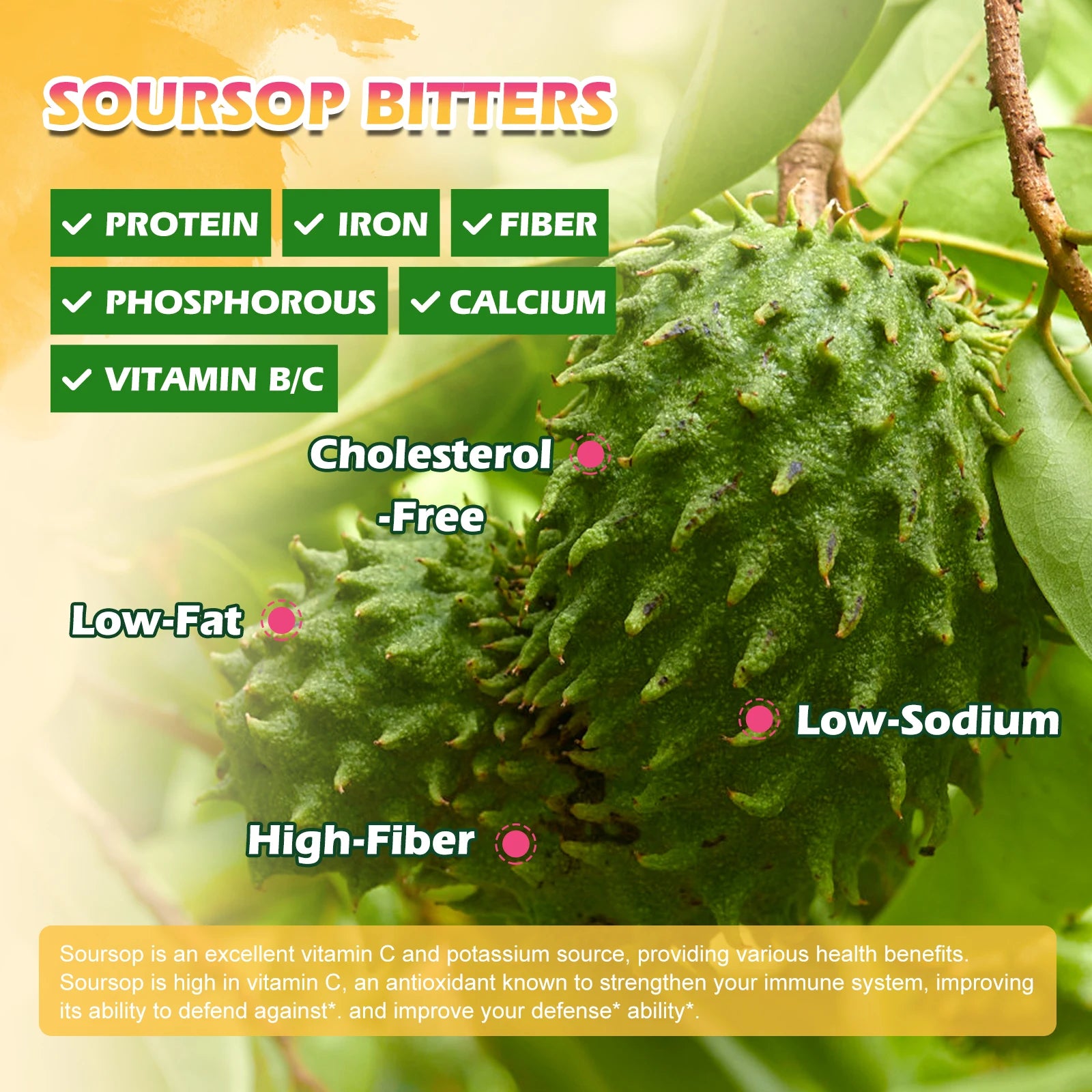 Soursop Graviola Extract Drops Support Immunity and Kidney Health, Detox and Antioxidation Gluten-Free