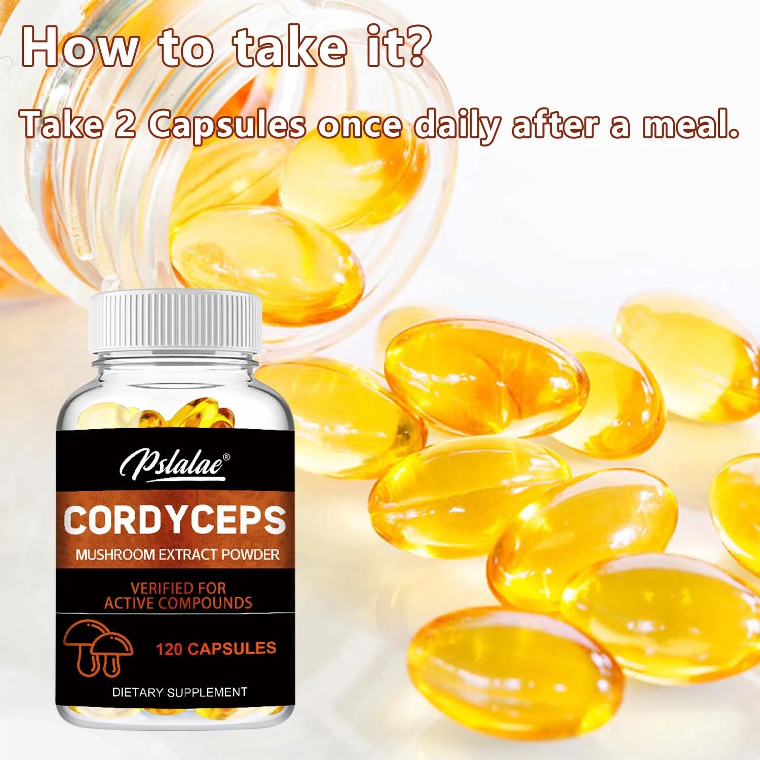 Cordyceps - Mushroom Extract, Provides Energy and Immune Support - 120 Capsules