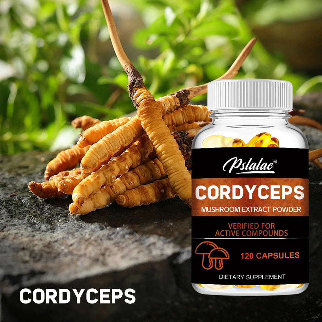 Cordyceps - Mushroom Extract, Provides Energy and Immune Support - 120 Capsules