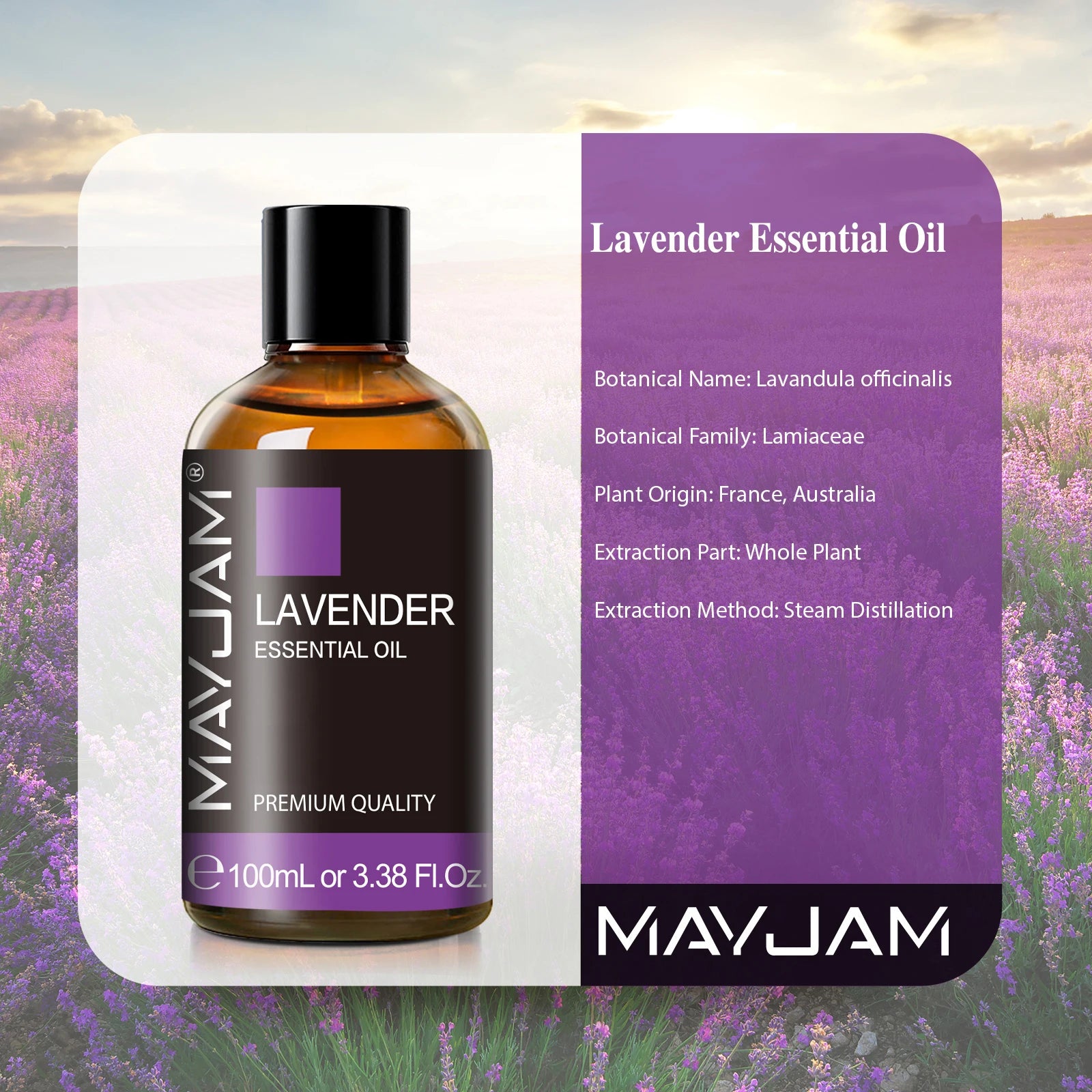 Pure Essential Oil 100ml Lavender Vanilla Sweet Orange Rosemary Sandalwood Fragrance