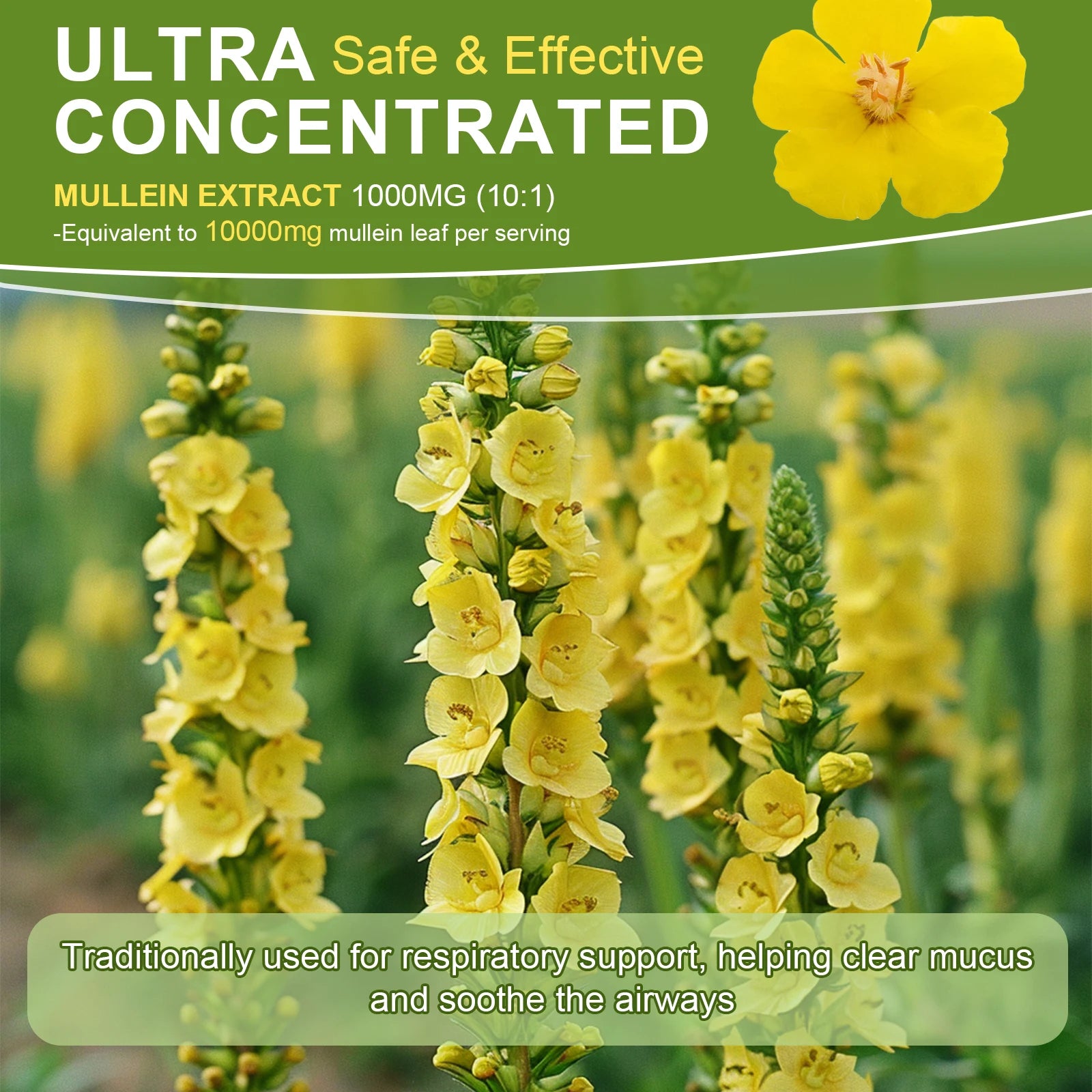 Mullein Drops Suitable For Lung, Lung Detoxification And Cleansing, Vegetarian