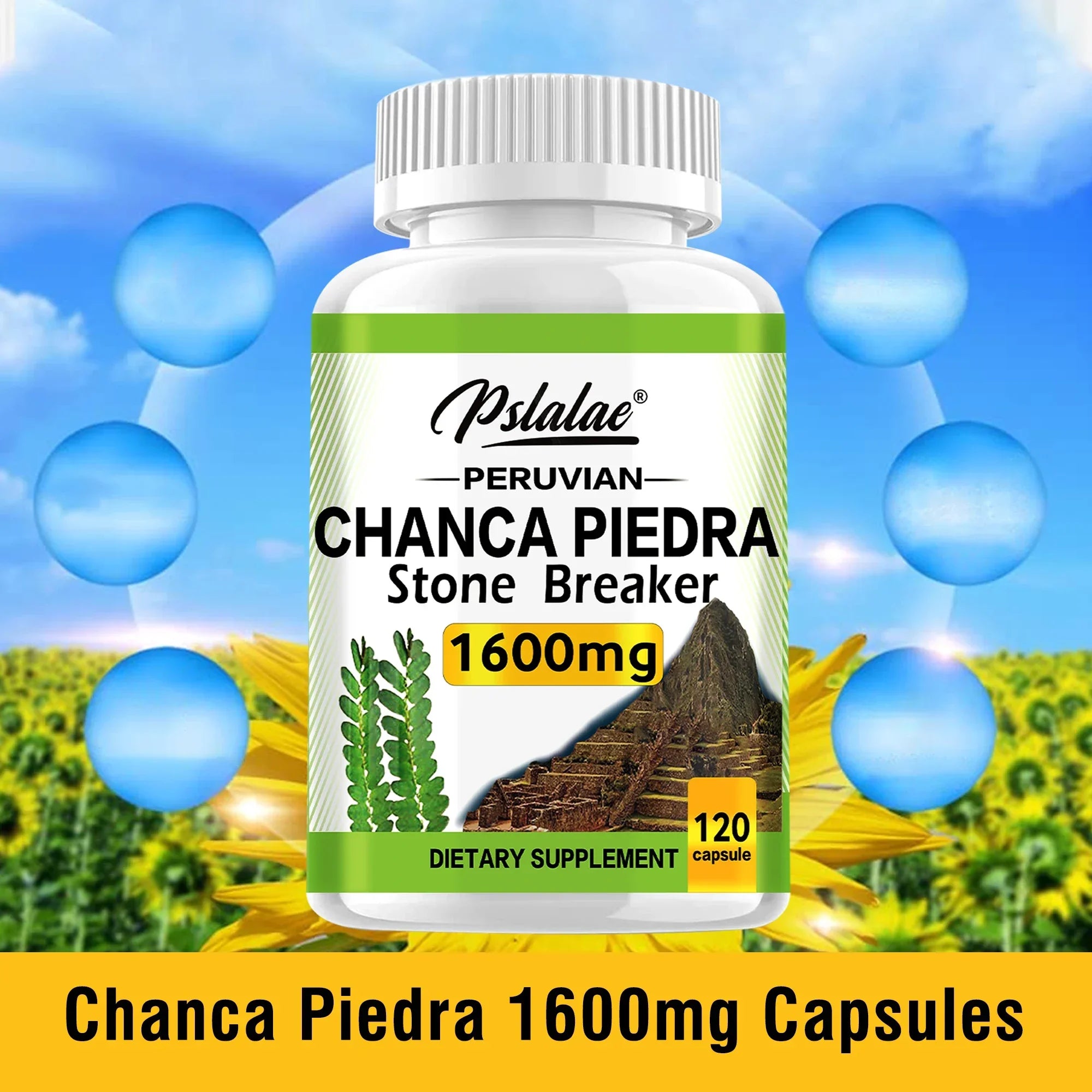 600mg - Supports Kidney Function, Promotes Detoxification, Cleansing and Repair, and Boosts Energy - 120 Capsules