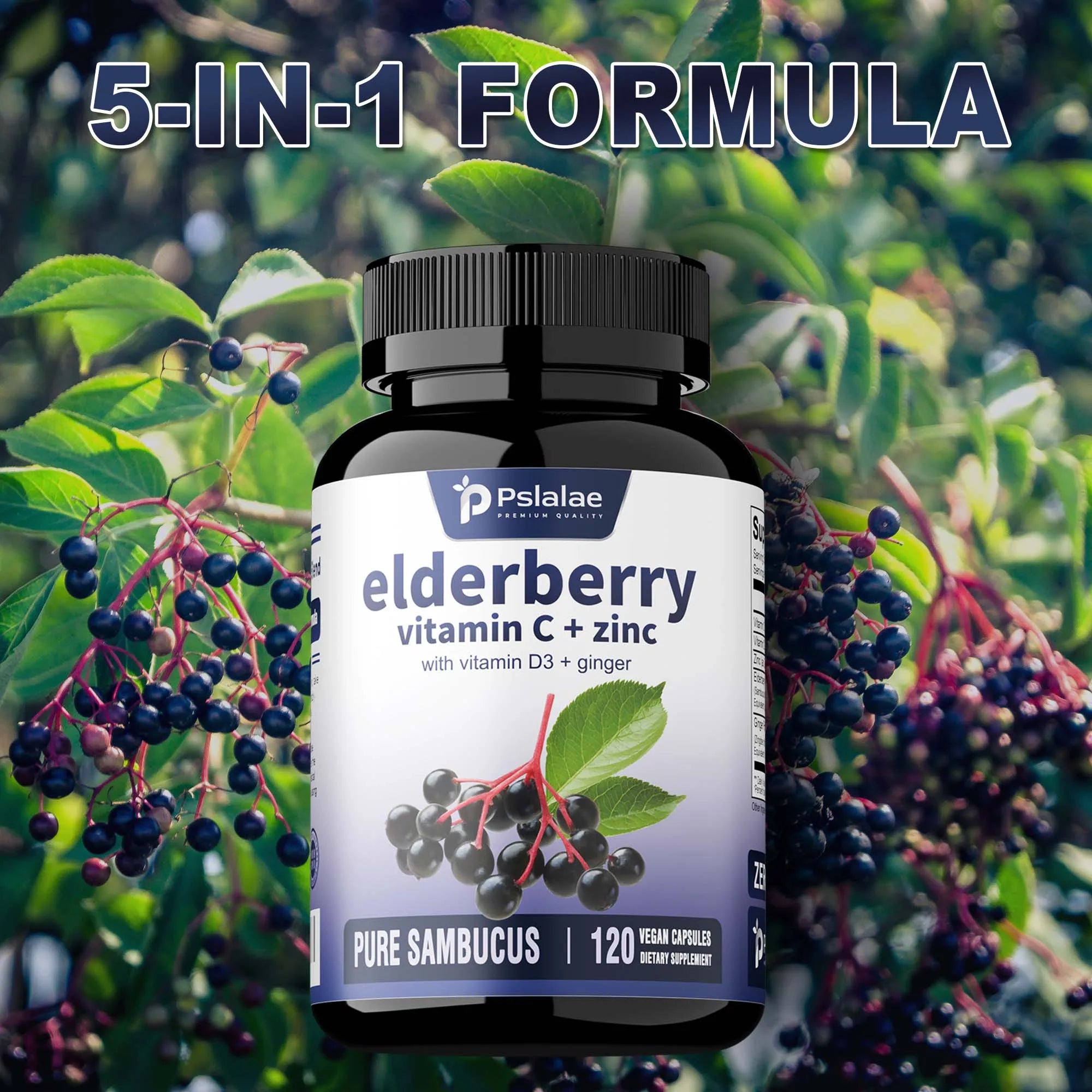 Elderberry, Vitamin C + Zinc - Supports The Immune System, Antioxidant Properties,  - 120 Capsules